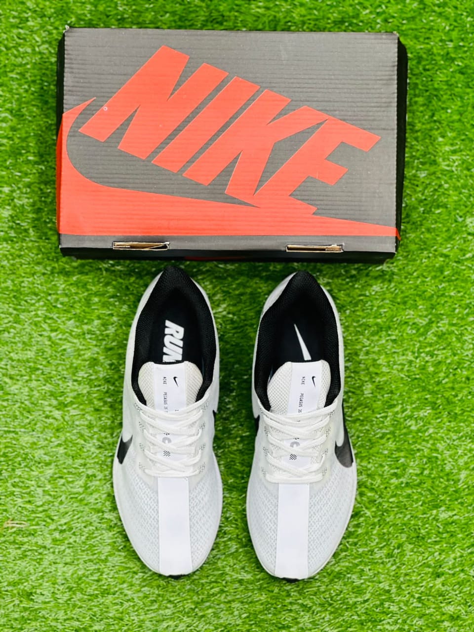 NK Pegasus Zoom